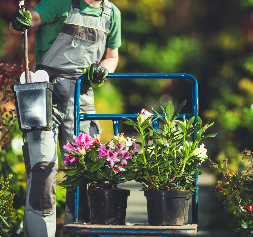 Capacidad instalada 2