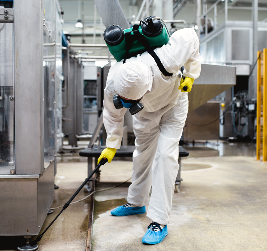 Capacidad instalada 5