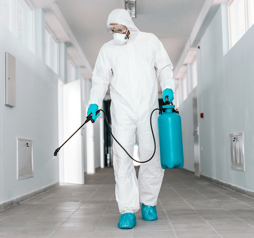 Capacidad instalada 6