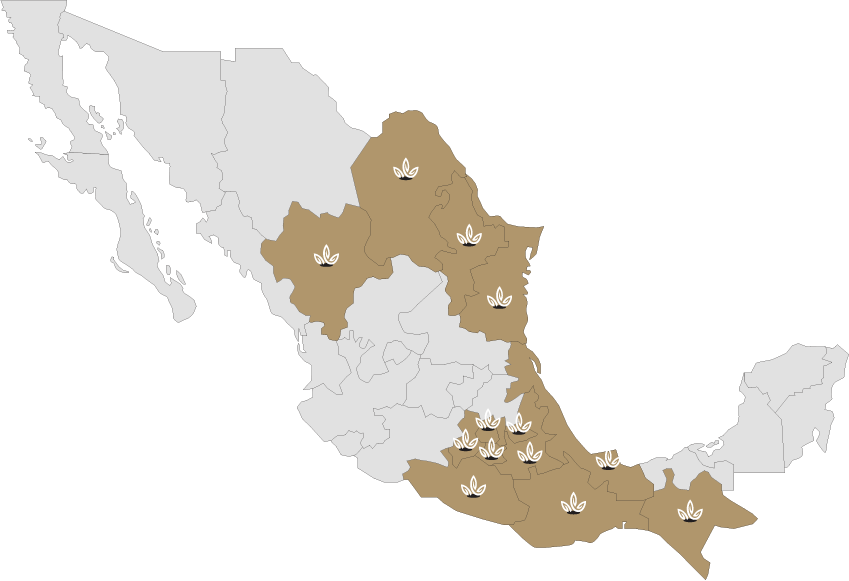 Mapa de México